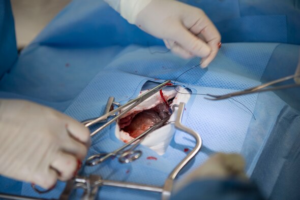 A surgical team works together to operate on a simulated abdomen during Gunfighter Flag 16-1 at Mountain Home Air Force Base, Idaho, Nov. 5, 2015. A member of the surgical team constructed an abdomen out of common household foods to make training for the team more realistic. (U.S. Air Force photo by Airman 1st Class Jessica H. Evans/RELEASED)