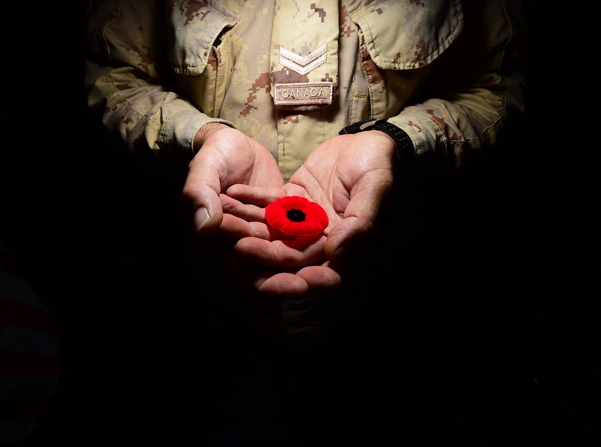 A Canadian Forces member celebrates Remembrance Day Nov. 11, 2015 at an undisclosed location in Southwest Asia.  For days leading up to Remembrance Day, Canadian service members pin a poppy flower to their uniform. The poppy symbol gained popularity following the publication of the poem which describes poppies growing in Flanders Fields atop the graves of fallen soldiers during World War I. (U.S. Air Force photo by Staff Sgt. Jerilyn Quintanilla) 