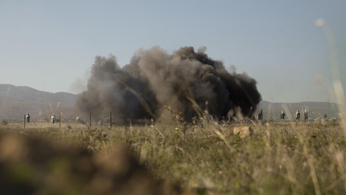 U.S. Marines with the Combined Arms Company prepare an Anti-Personnel Obstacle Breaching System, creating a lane for Bulgarian dismounts to continue towards the objective during the final exercise of Platinum Lion 16-1 at Novo Selo Training Area, Bulgaria, Nov. 7, 2015. Platinum Lion, the first multinational live-fire engagement in which the Combined Arms Company participated, is a NATO-led exercise designed to increase readiness and build partner capacity through realistic combat scenarios and objective-focused training. 