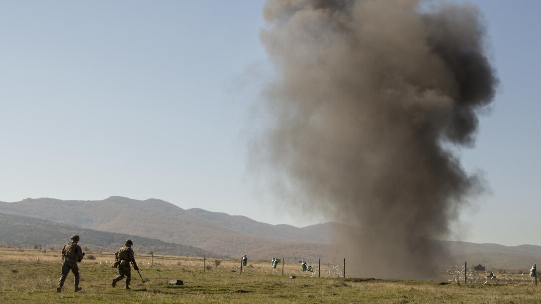 U.S. Marines with the Combined Arms Company prepare an Anti-Personnel Obstacle Breaching System, creating a lane for Bulgarian dismounts to continue towards the objective during the final exercise of Platinum Lion 16-1 at Novo Selo Training Area, Bulgaria, Nov. 7, 2015. Platinum Lion, the first multinational live-fire engagement in which the Combined Arms Company participated, is a NATO-led exercise designed to increase readiness and build partner capacity through realistic combat scenarios and objective-focused training. 