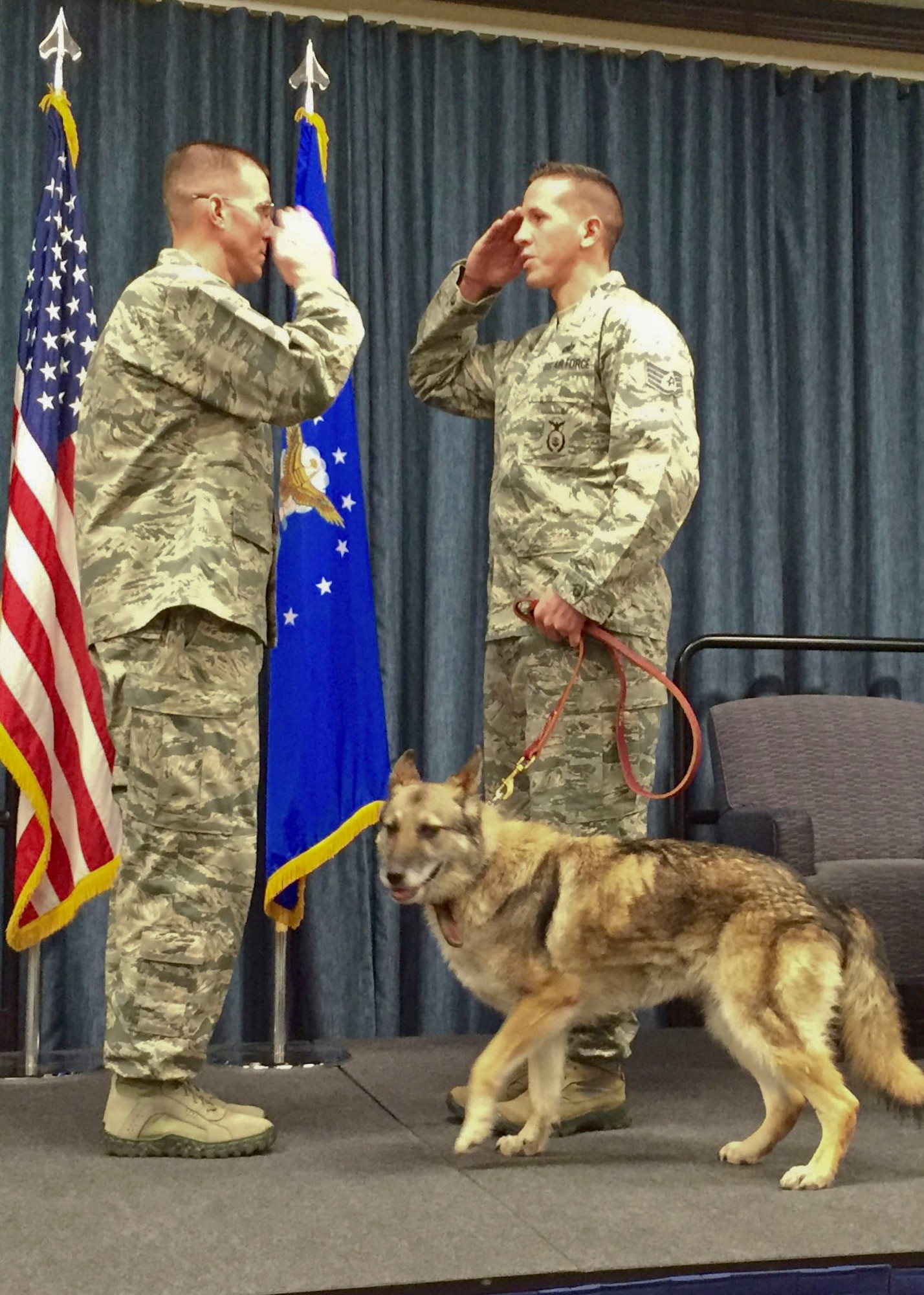 Staff Sgt. Jonathan Toro, 92nd Security Forces Squadron military working dog handler, salutes Maj. Kevin McMahon, 92nd SFS commander, during a MWD retirement ceremony Nov. 12, 2015, at Fairchild Air Force Base, Wash. Toro relinquished command of MWD Helena as she retired from active duty. (U.S. Air Force Photo/Colonel Matthew Fritz)