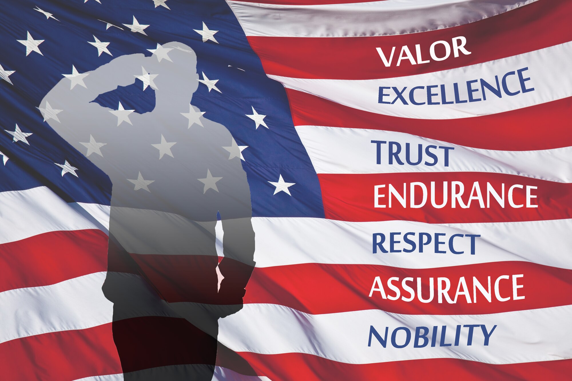 Veterans Day is a U.S. holiday set aside to honor those who have served in the U.S. Armed Forces. Many veterans continue to serve the military as civil servants and volunteers. (U.S. photo illustration by Airman 1st Class Cary Smith/Released) 