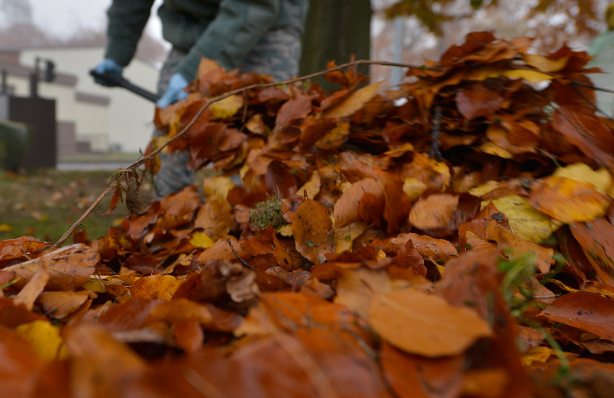 An Airman digs his shovel into a leaf pile during Base Pride Day Nov. 3, 2015, at Ramstein Air Base, Germany. Airmen and civilians around Ramstein cleaned around their work and living areas on-base during Ramstein’s biannual occasion. (U.S. Air Force photo/Airman 1st Class Lane T. Plummer)