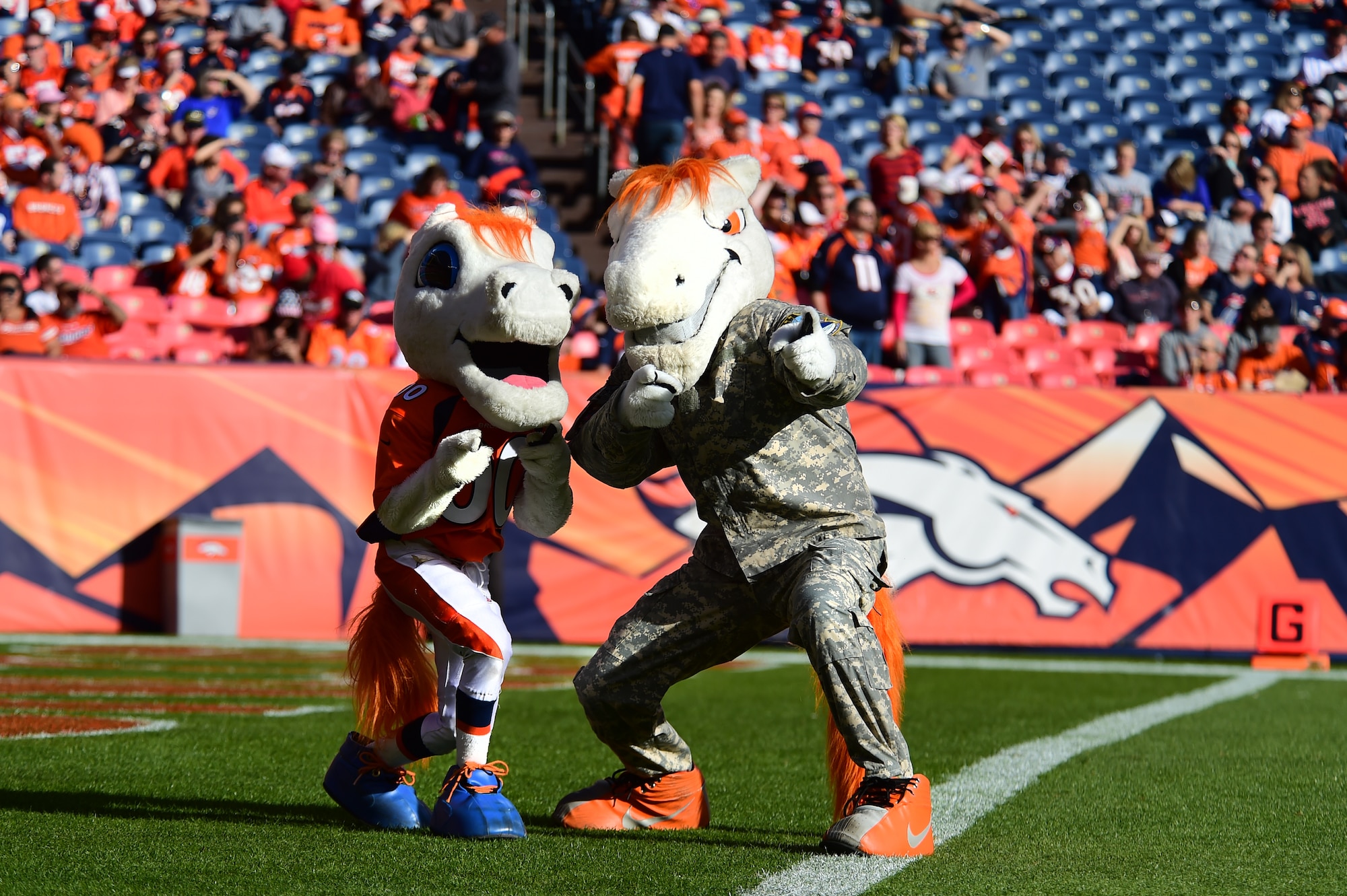 Miles, the Denver Broncos’ mascot, poses in military fatigues Nov. 15, 2015, at Sports Authority Field at Mile High Stadium, Denver. The Denver Broncos hosted military members at their Salute to Service game against the Kansas City Chiefs. (U.S. Air Force photo by Airman 1st Class Luke W. Nowakowski/Released)