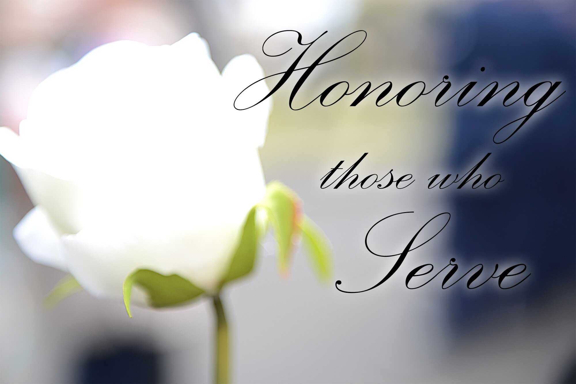 Members of Team Yokota take part in a Veterans Day ceremony at Yokota Air Base, Japan, Nov. 11, 2015. Veterans Day celebrates the service of all U.S. military veterans and coincides with Armistice Day and Remembrance Day which are celebrated in other countries, marking the anniversary of the end of World War I. (U.S. Air Force graphic by Senior Airman David C. Danford/Released)