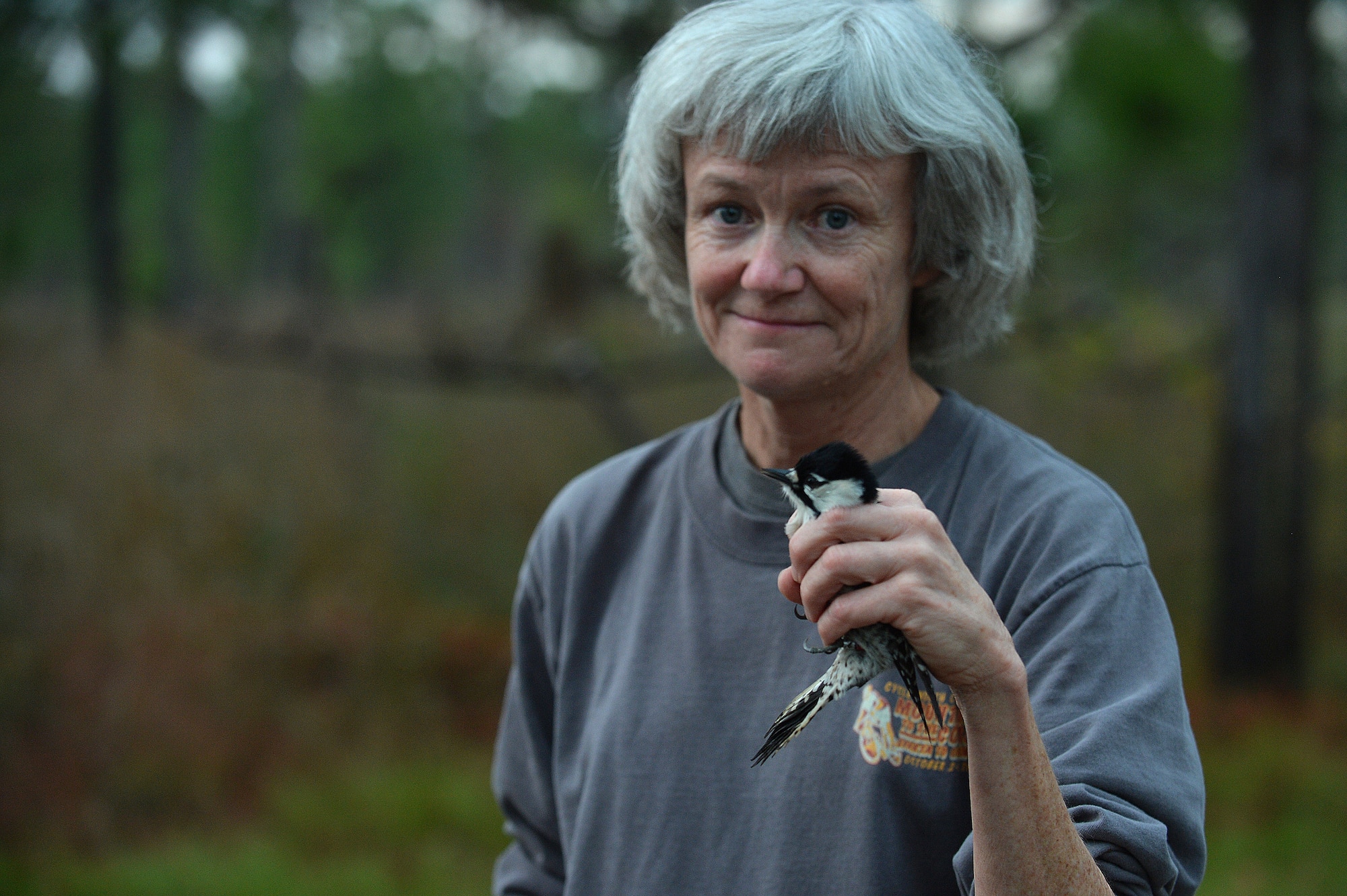 Julie Hovis, 20th Civil Engineer Squadron endangered species biologist, holds a Red-cockaded Woodpecker at Poinsett Electronic Combat Range, Wedgefield, S.C., Nov. 6, 2015. In order for Shaw’s Red-cockaded Woodpeckers to be considered recovered on Poinsett Range, they must reach and sustain 30 active clusters. (U.S. Air Force photo by Senior Airman Diana M. Cossaboom)