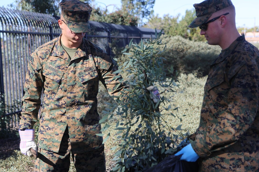 Marines stationed aboard Marine Corps Air Station Miramar, Calif., dispose of weeds during a base-wide cleanup on MCAS Miramar, Nov. 16. Marines picked up trash, pulled weeds and cut the grass aboard the station and outside the gate.(U.S. Marine Corps photo by Lance Cpl. Kimberlyn Adams/Released)