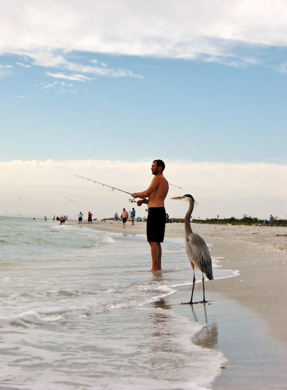 Coastal storm damage reduction projects reduce risk and promote coastal resilience.  The projects also help restore habitat for shorebirds and marine turtles, and support local recreation and tourism. 