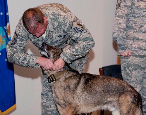 Master Sgt. Matthew Bowling, the operations superintendent with the 71st Security Forces Squadron, pins an Air Force Achievement Medal onto military working dog Samo during the pup’s retirement ceremony Nov. 10 in the Base Auditorium. Samo enlisted in the Air Force in May 2007 and has deployed three times. (U.S. Air Force photo / Staff Sgt. Nancy Falcon)