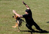 Military Working Dog Nnora attacks Scott Clark, High Drive K-9 owner, while wearing an aggression muzzle for training purposes Nov. 10 at Columbus Air Force Base, Mississippi. High Drive K-9 creates reality based K-9 training to enhance the MWD capabilities and keep them ready for an attack. (U.S. Air Force photo/Melissa Doublin)
