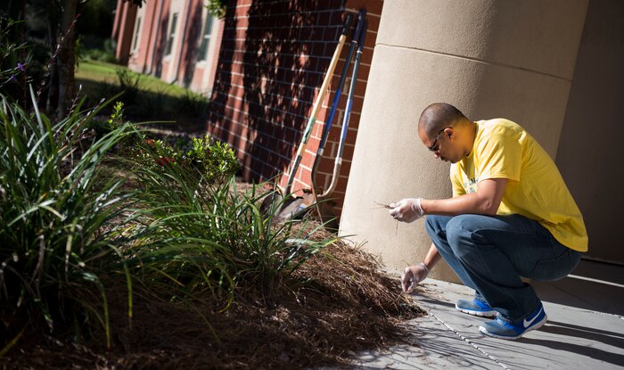 Joint Base Charleston members participate in a Day of Caring November 13, 2015, at West Ashley High School in West Ashley, S.C. Over 3,800 members from Joint Base Charleston joined Trident United Way’s Day of Caring volunteer event to assist three of the local counties—Berkeley, Charleston and Dorchester. Ten volunteer projects, mostly at public schools, totaled over 5,000 volunteer hours giving back to our communities. (U.S. Air Force photo/Airman 1st Class Clay Cupit)