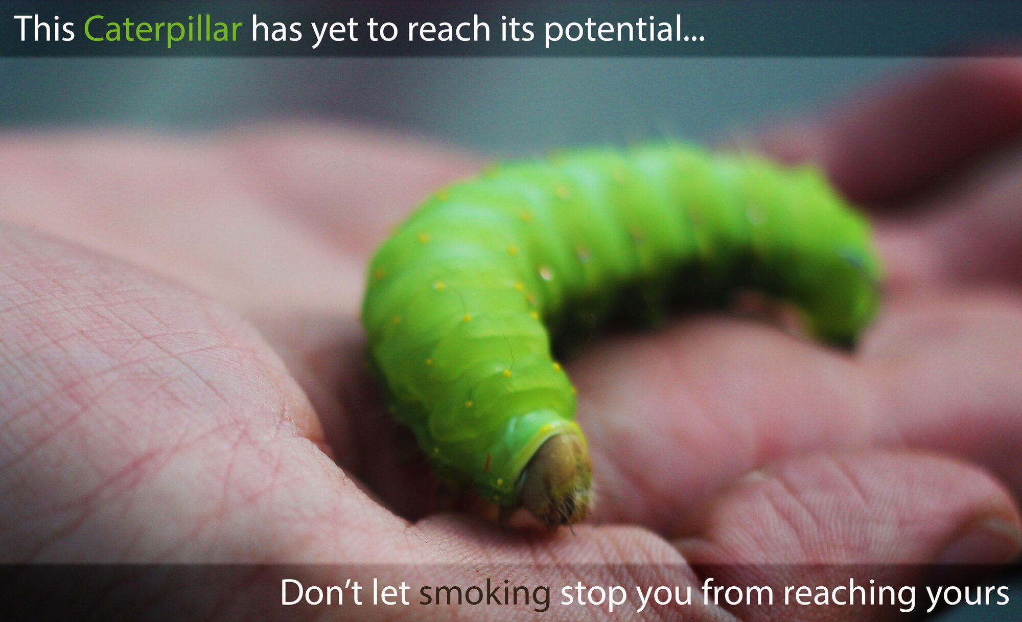 Currently the percentage of military members who smoke cigarettes (25 percent) is higher than the percentage of the adult population of the U.S (18 percent). More than 30 percent of service members from the rank of E1 to E4 use tobacco and a third of them don’t start using tobacco until after joining the military. (U.S. Air Force graphic/ Airman 1st Class Sean Campbell)