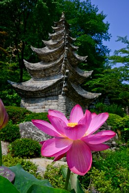 Waujeongsa Buddhist Temple, more commonly known as Wawoojeong Temple, is the youngest temple in South Korea, located about a 10 minute drive from Yongin and approximately two hours west of Osan AB. The temple is home to the world’s largest Wabul, reclining Buddha, at 10 feet high and 32 feet long and has more than 3,000 other Buddha statues. The area offers vibrant scenery and architecture along with peaceful trails and lush surroundings. (U.S. Air Force photo/Senior Airman Kristin High)