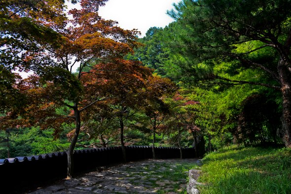 Waujeongsa Buddhist Temple, more commonly known as Wawoojeong Temple, is the youngest temple in South Korea, located about a 10 minute drive from Yongin and approximately two hours west of Osan AB. The temple is home to the world’s largest Wabul, reclining Buddha, at 10 feet high and 32 feet long and has more than 3,000 other Buddha statues. The area offers vibrant scenery and architecture along with peaceful trails and lush surroundings. (U.S. Air Force photo/Senior Airman Kristin High)