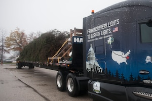 The 2015 Capitol Christmas Tree is displayed on a specially designed trailer Nov. 19, 2015, at Joint Base Andrews, Md. This year’s Capitol Christmas Tree is 74 feet tall and is a Lutz Spruce. This year’s Capitol Christmas Tree is 74 feet tall and is a Lutz Spruce. It stopped 14 times on the trip, from Chugach National Forest in Seward, Alaska, to JBA. Its final destination is outside the U.S. Capitol building. (U.S. Air Force photo by Senior Airman Dylan Nuckolls/Released)