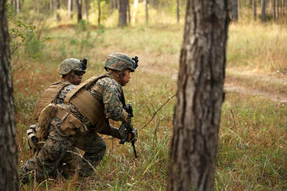 Marines secure a position during a patrol training exercise at Camp Lejeune, N.C., Nov. 16, 2015. The Marines are with Combined Anti-Armor Team, 3rd Battalion, 2nd Marine Regiment. The unit practiced patrolling techniques on foot and in Humvees in preparation for an upcoming deployment to Okinawa, Japan.  U.S. Marine Corps photo by Lance Cpl. Brianna Gaudi