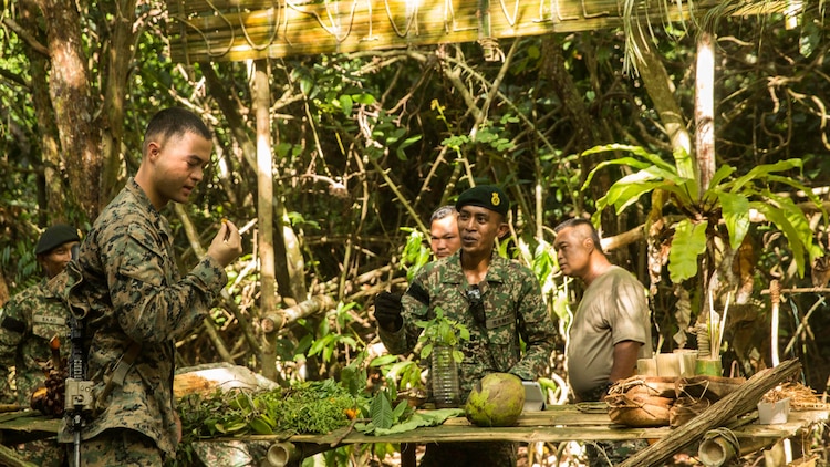 U.S. Marine Sgt. David Camerino tastes a palm tree trunk in a jungle survival course during Malaysia-United States Amphibious Exercise 2015 in Tanduo, Malaysia on Nov. 11. Camerino is a squad leader with Kilo Company, Battalion Landing Team 3rd Battalion, 1st Marine Regiment, 15th Marine Expeditionary Unit. During the course, Marines learned what types of plants are edible, and how to avoid eating poisonous vegetation from Malaysian soldiers. The purpose of the exercise was to strengthen military cooperation in the planning and execution of amphibious operations between Malaysian armed forces and U.S. Marines. The 15th MEU is currently deployed in the Indo-Asia-Pacific region to promote regional stability and security in the U.S. 7th Fleet area of operations. 