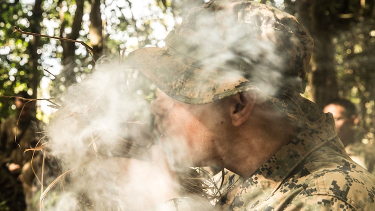 U.S. Marine Lance Cpl. Jesse Meinhardt blows on embers in attempt to start a fire using steel, a rock and dry straw in a jungle survival course during Malaysia-United States Amphibious Exercise 2015. Meinhardt is a rifleman with Kilo Company, Battalion Landing Team 3rd Battalion, 1st Marine Regiment, 15th Marine Expeditionary Unit. During the course, Marines learned how to use material found in the jungle to start and maintain a fire from Malaysian soldiers. The purpose of the exercise was to strengthen military cooperation in the planning and execution of amphibious operations between Malaysian armed forces and U.S. Marines. The 15th MEU is currently deployed in the Indo-Asia-Pacific region to promote regional stability and security in the U.S. 7th Fleet area of operations. 