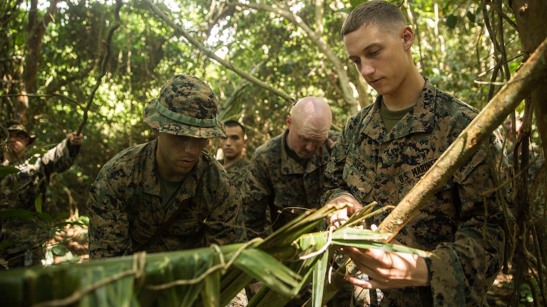 U.S. Marines with Kilo Company, Battalion Landing Team 3rd Battalion, 1st Marine Regiment, 15th Marine Expeditionary Unit, build a shelter using vines, wood, and palm leaves in a jungle survival course during Malaysia-United States Amphibious Exercise 2015 in Tanduo, Malaysia on Nov. 11. During the course, Marines learned how to survive in the multiple climates the jungle offers. The purpose of the exercise was to strengthen military cooperation in the planning and execution of amphibious operations between Malaysian armed forces and U.S. Marines. The 15th MEU is currently deployed in the Indo-Asia-Pacific region to promote regional stability and security in the U.S. 7th Fleet area of operations. 