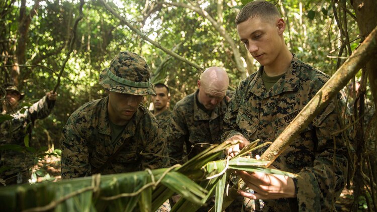 U.S. Marines with Kilo Company, Battalion Landing Team 3rd Battalion, 1st Marine Regiment, 15th Marine Expeditionary Unit, build a shelter using vines, wood, and palm leaves in a jungle survival course during Malaysia-United States Amphibious Exercise 2015 in Tanduo, Malaysia on Nov. 11. During the course, Marines learned how to survive in the multiple climates the jungle offers. The purpose of the exercise was to strengthen military cooperation in the planning and execution of amphibious operations between Malaysian armed forces and U.S. Marines. The 15th MEU is currently deployed in the Indo-Asia-Pacific region to promote regional stability and security in the U.S. 7th Fleet area of operations. 