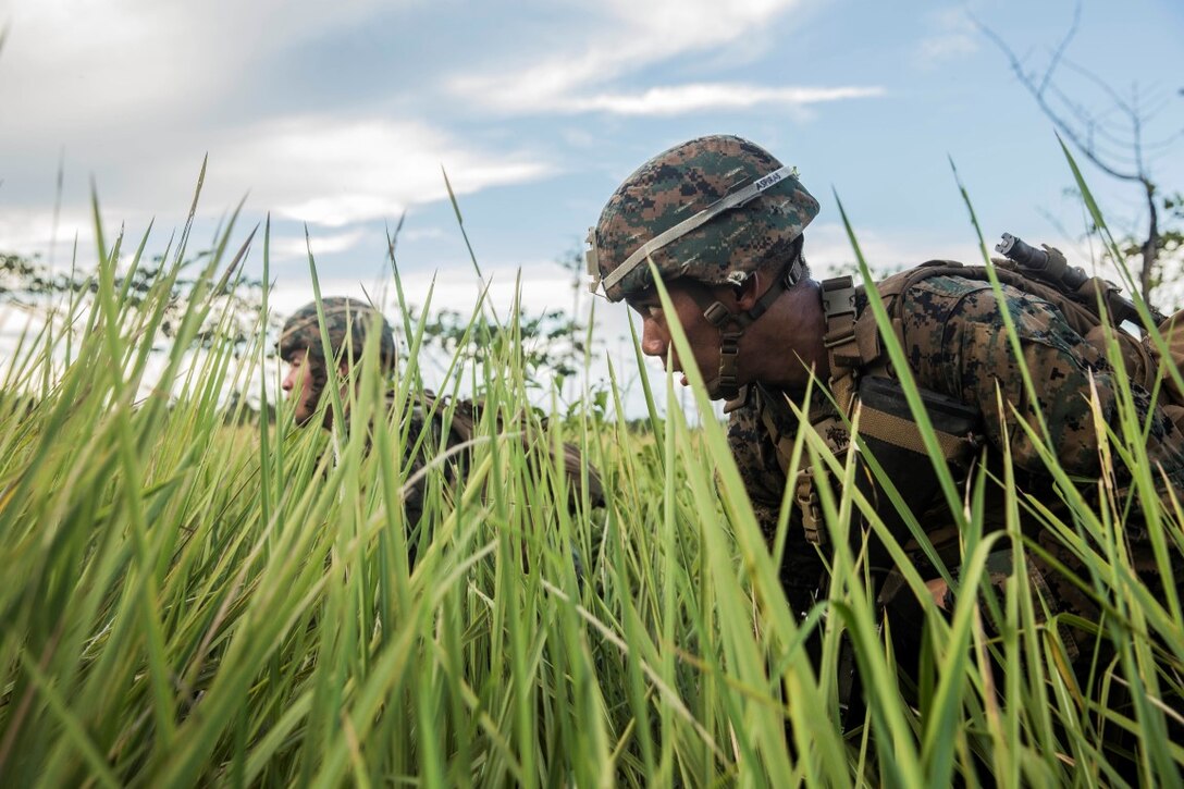 TANDUO BEACH, Malaysia (Nov. 11, 2015) U.S. Marine Lance Cpl. Joseph Aspiras uses tall grass to conceal himself while training Malaysian soldiers on amphibious operations during Malaysia-United States Amphibious Exercise 2015. Aspiras is a rifleman with Kilo Company, Battalion Landing Team 3rd Battalion, 1st Marine Regiment, 15th Marine Expeditionary Unit. During MALUS AMPHEX 15, Marine fire teams paired with a squad of Malaysian soldiers and rehearsed amphibious assault tactics. The purpose of the exercise was to strengthen military cooperation in the planning and execution of amphibious operations between Malaysian armed forces and U.S. Marines. The 15th MEU is currently deployed in the Indo-Asia-Pacific region to promote regional stability and security in the U.S. 7th Fleet area of operations. (U.S. Marine Corps photo by Sgt. Emmanuel Ramos/Released)