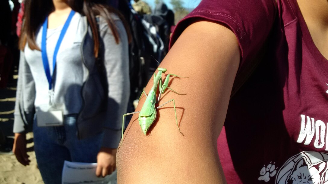 A praying mantis hitches a ride on the arm of an area high school student during a tour of Hansen Dam, a U.S. Army Corps of Engineers Los Angeles District flood risk reduction project located in the San Fernando Valley, Nov. 19.