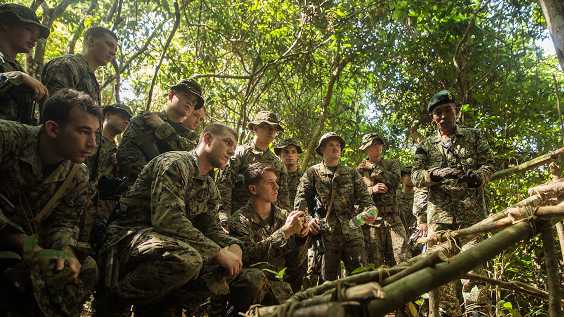 TANDUO, Malaysia (Nov. 11, 2015)- A Malaysian Army officer explains to U.S. Marines with Kilo Company, Battalion Landing Team 3rd Battalion, 1st Marine Regiment, 15th Marine Expeditionary Unit, how to build a wild game trap using vines and wood in a jungle survival course during Malaysia-United States Amphibious Exercise 2015. During the course, Marines learned to build multiple traps, and snares. The purpose of the exercise was to strengthen military cooperation in the planning and execution of amphibious operations between Malaysian armed forces and U.S. Marines. The 15th MEU is currently deployed in the Indo-Asia-Pacific region to promote regional stability and security in the U.S. 7th Fleet area of operations. 