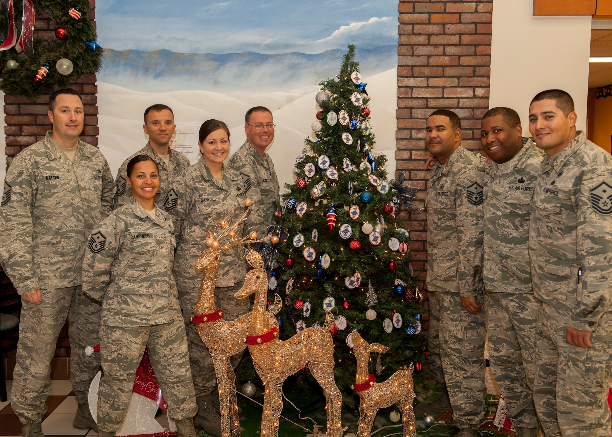 The First Sergeant Council at Holloman Air Force Base, N.M., gathers around the Diamond Tree located in the Base Exchange, November 24. Every year, the First Sergeant Council collects and distributes gifts for Holloman children living in single and low income homes. (U.S. Air Force photo by Airman 1st Class Randahl J. Jenson)