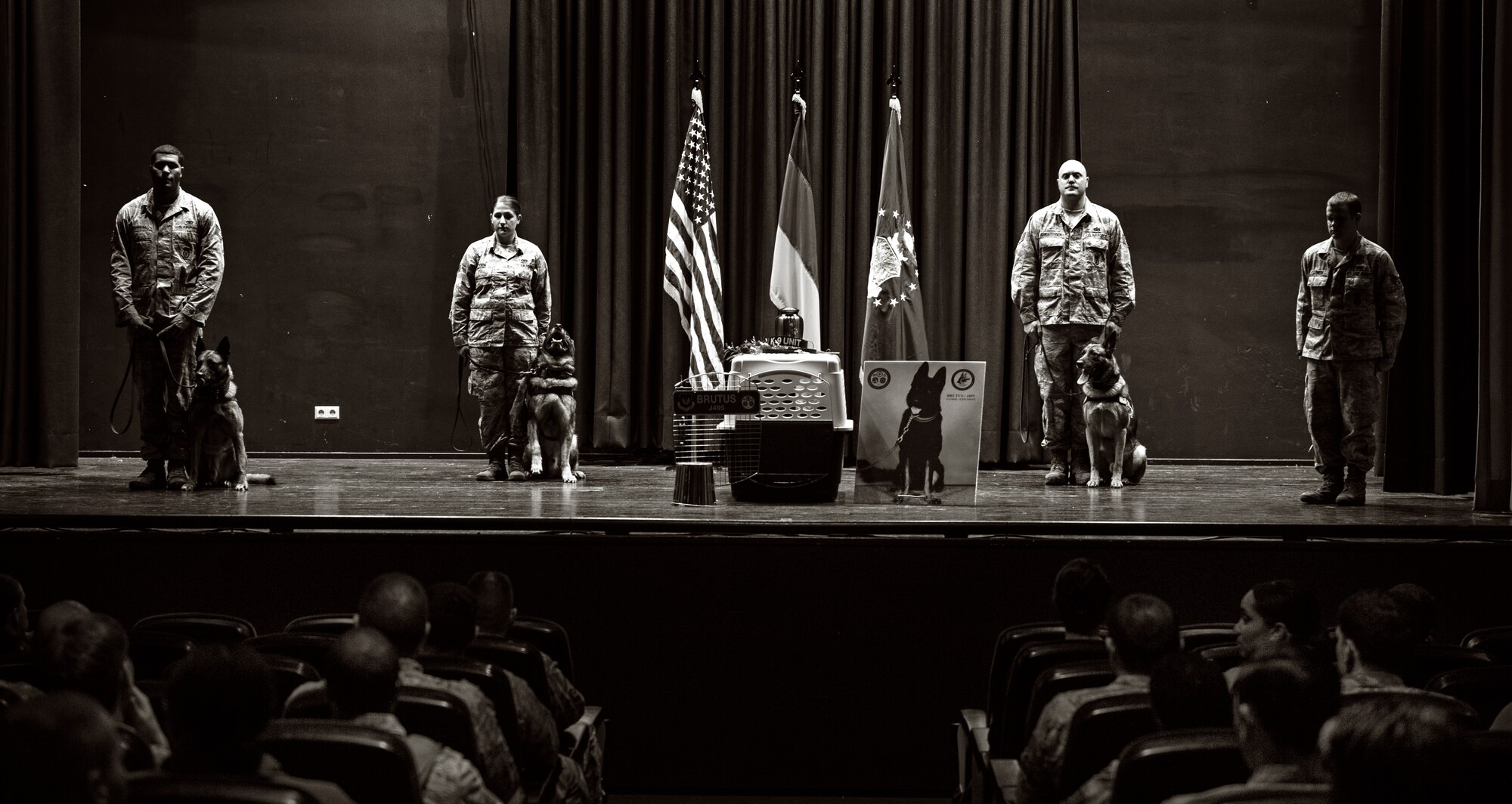 Military working dog handlers and their dogs represent their unit, the 86th Security Forces Squadron, during a memorial service to honor military working dog Brutus Nov. 20, 2015 at Ramstein Air Base, Germany. Brutus passed away recently after working with the 86th SFS as a patrol explosive detection dog for more than 13 years.  (U.S. Air Force photo/Staff Sgt. Sara Keller)