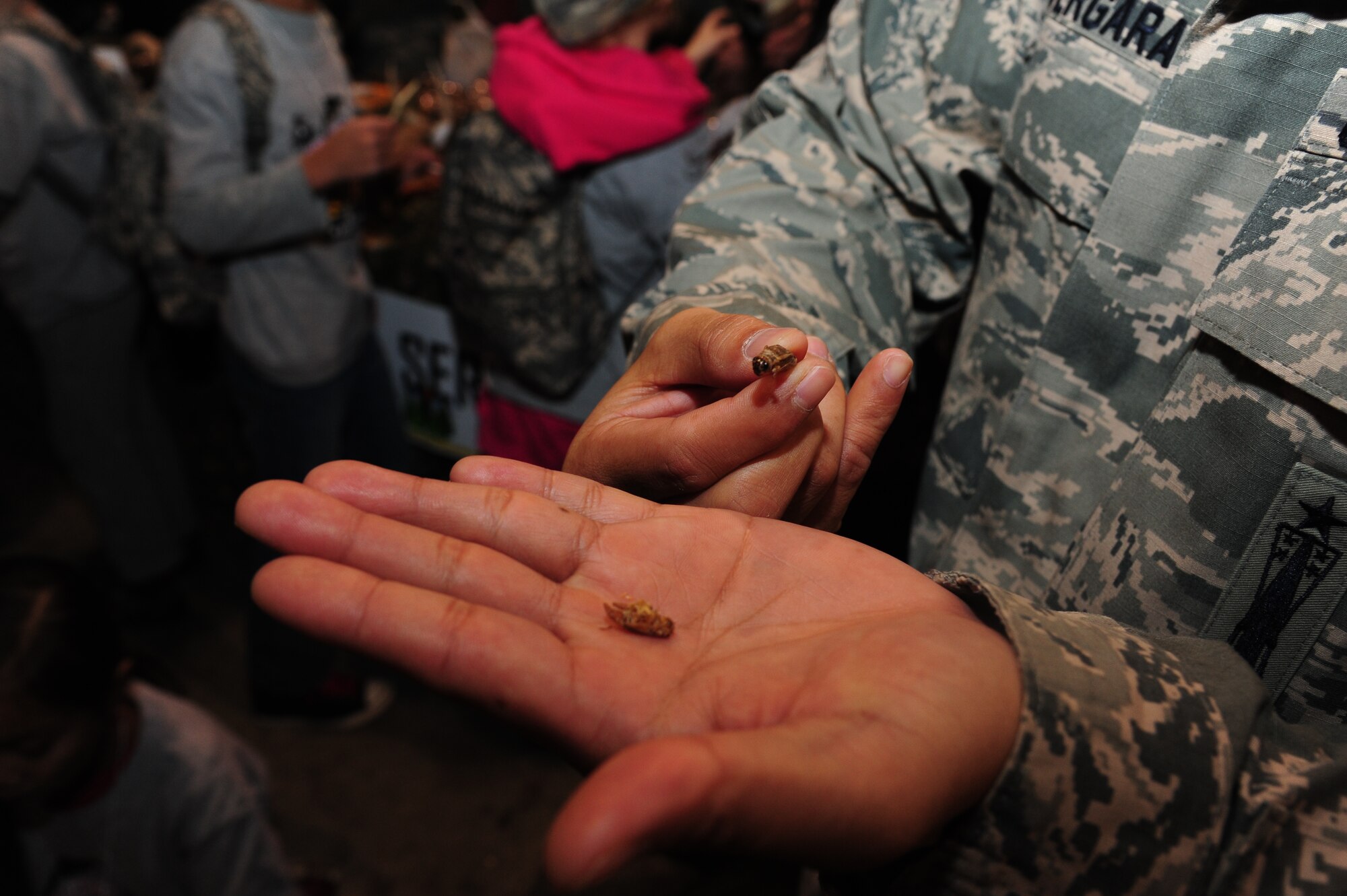 U.S. Air Force Tech. Sgt. Jaime Vergara, a 509th Medical Support Squadron medical technician, holds edible crickets during Operation Spirit at Whiteman Air Force Base, Mo., Nov. 21, 2015. The Survival, Evasion, Resistance and Escape (SERE) specialists taught families about survival in remote locations. (U.S. Air Force photo by Senior Airman Keenan Berry)