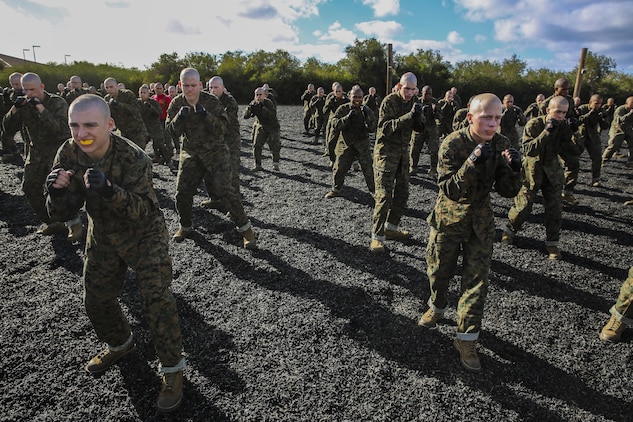 Recruits of Bravo Company, 1st Recruit Training Battalion, stand in the basic warrior stance during a Marine Corps Martial Arts Program session at Marine Corps Recruit Depot San Diego, Nov. 25. Recruit’s learned the lead and rear hand punch as well as the upper cut and hook strikes. Throughout training, recruits will add on to these techniques and become more efficient when it comes to executing them.  Today, all males recruited from west of the Mississippi are trained at MCRD San Diego. The depot is responsible for training more than 16,000 recruits annually. Bravo Company is scheduled to graduate Feb. 12.