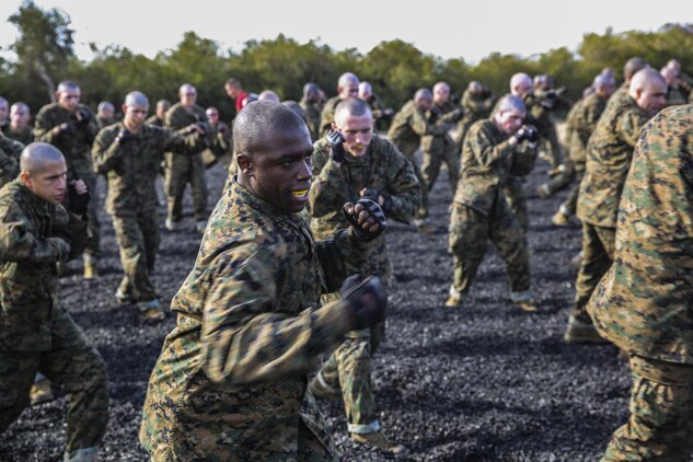 Recruits of Bravo Company, 1st Recruit Training Battalion, execute a hook strike during a Marine Corps Martial Arts Program session at Marine Corps Recruit Depot San Diego, Nov. 25. Recruit’s also learned the lead and rear hand punch as well as the upper cut. Throughout training, recruits will add on to these techniques and become more efficient when it comes to executing them.  Today, all males recruited from west of the Mississippi are trained at MCRD San Diego. The depot is responsible for training more than 16,000 recruits annually. Bravo Company is scheduled to graduate Feb. 12.