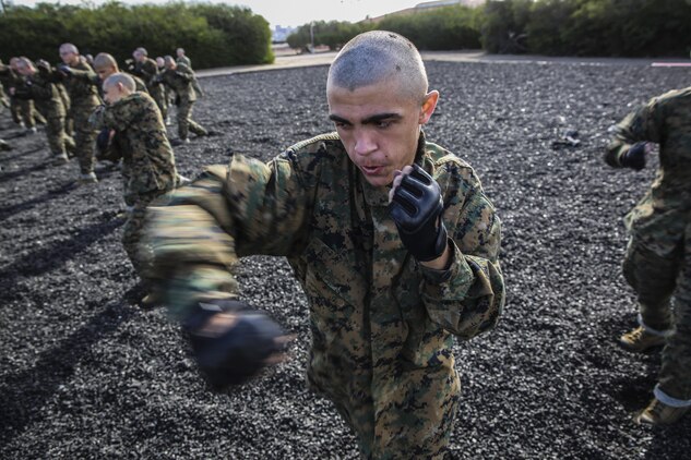 A recruit with Bravo Company, 1st Recruit Training Battalion, executes a hook strike during a MCMAP session at Marine Corps Recruit Depot San Diego, Nov. 25. Recruit’s also learned the lead and rear hand punch as well as the upper cut. Throughout training, recruits will add on to these techniques and become more efficient when it comes to executing them.  Today, all males recruited from west of the Mississippi are trained at MCRD San Diego. The depot is responsible for training more than 16,000 recruits annually. Bravo Company is scheduled to graduate Feb. 12.