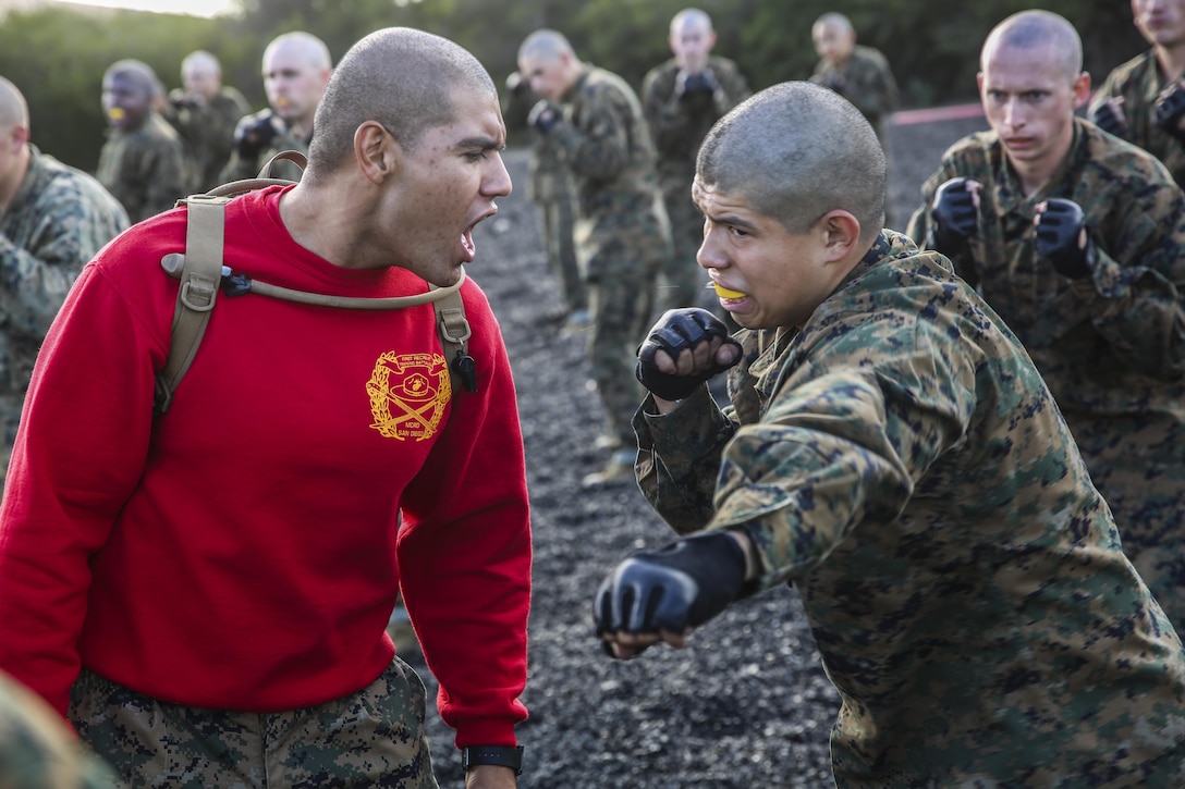 A drill instructor with Bravo Company, 1st Recruit Training Battalion, corrects a recruit’s execution of a lead hand punch during a Marine Corps Martial Arts Program session, at Marine Corps Recruit Depot San Diego,  Nov. 25, 2015. For their first MCMAP event in recruit training, recruits began with a basic warrior stance. This technique is simply how to stand in a versatile position to be ready to strike or defend.  Recruits then moved on to angles of movement, where they learned how to move step-by-step while keeping in the basic warrior position. Today, all males recruited from west of the Mississippi are trained at MCRD San Diego. The depot is responsible for training more than 16,000 recruits annually. Bravo Company is scheduled to graduate Feb. 12.