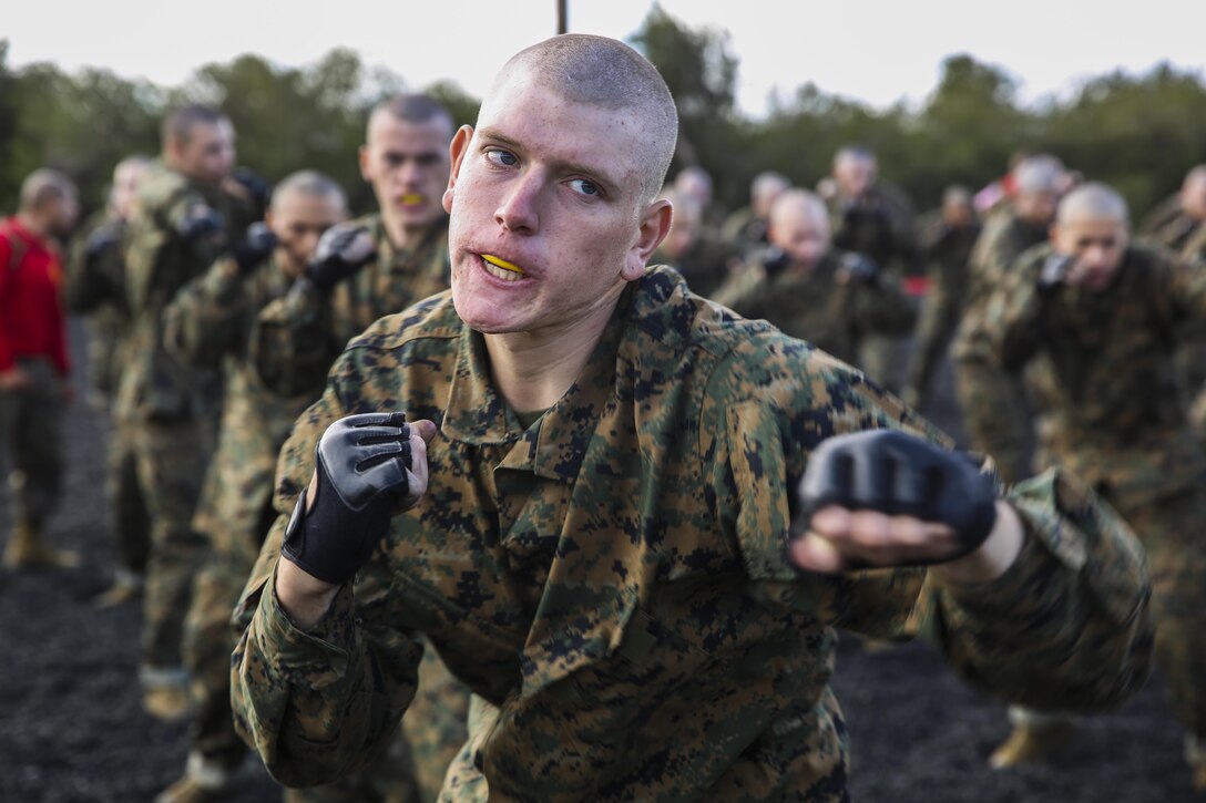 A Marine Corps recruit executes a rear hand punch during a Marine Corps Martial Arts Program session at Marine Corps Recruit Depot San Diego, Nov. 25, 2015. The recruit is assigned to Bravo Company, 1st Recruit Training Battalion. Marine Corps photo by Sgt. Tyler Viglione