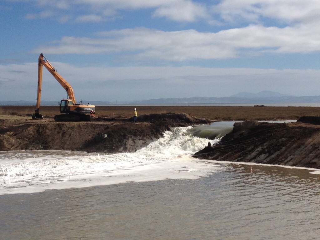 A levee at Sears Point in Sonoma County, Calif., is breached as part of a project to restore wetlands and protect the San Francisco Bay Area against anticipated sea level rise. The largest private environmental project in the Bay Area was authorized by the U.S. Army Corps of Engineers San Francisco District under terms of the Clean Water Act.  