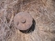 Munition found at Former Camp San Luis Obispo in September 2010. Source: U.S. Army
Corps of Engineers
