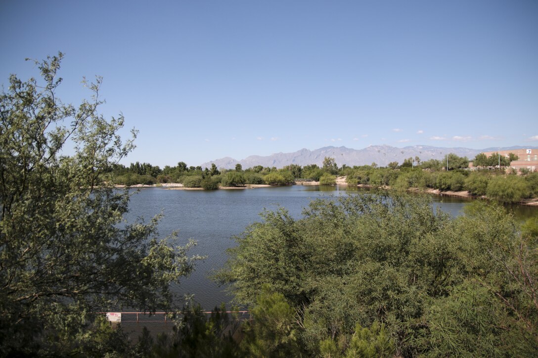 The Kino Environmental Restoration Project covers 141 acres and includes constructed diversion channels, five vegetation-lined ponds, restored native vegetation and flood control structures. KERP is managed by the Kino Sports Complex and Pima County Stadium District that maintain the basin in partnership with the Pima County Regional Flood Control District and the Regional Wastewater Reclamation Department.