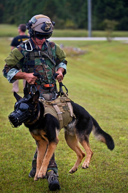A Marine carries his military working dog during special patrol insertion and extraction training at Stone Bay on Marine Corps Base Camp Lejeune, N.C., Sept. 23, 2015. U.S. Marine Corps photo by Lance Cpl. Austin A. Lewis
