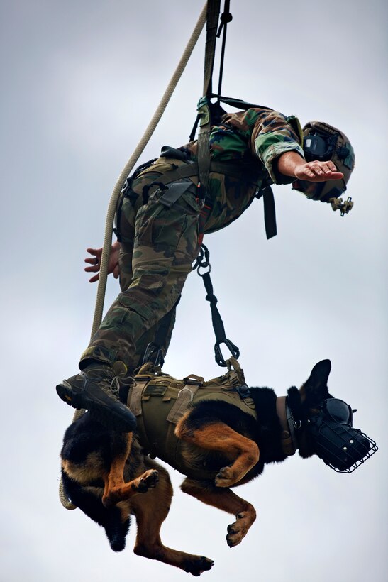 A Marine and his military working dog hang from a UH-1Y helicopter during special patrol insertion and extraction training at Stone Bay on Marine Corps Base Camp Lejeune, N.C., Sept. 23, 2015. U.S. Marine Corps photo by Lance Cpl. Austin A. Lewis
