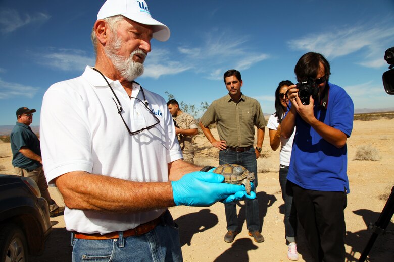 Dr. Ken Nagy, University of California, Los Angeles research professor, holds No. 2-4, the tortoise of the hour Sept. 30, 2015. The 9-year-old female is one of the first 35 desert tortoises raised at the Combat Center's Tortoise Research and Captive Rearing Site to be released into the wild this year. (Official USMC photo by Kelly O'Sullivan/Released)