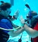 Students Michael Winkler and Tommy Kirklin signal to each other that they are OK as they practice buddy breathing – an emergency out-of-air procedure when scuba diving.