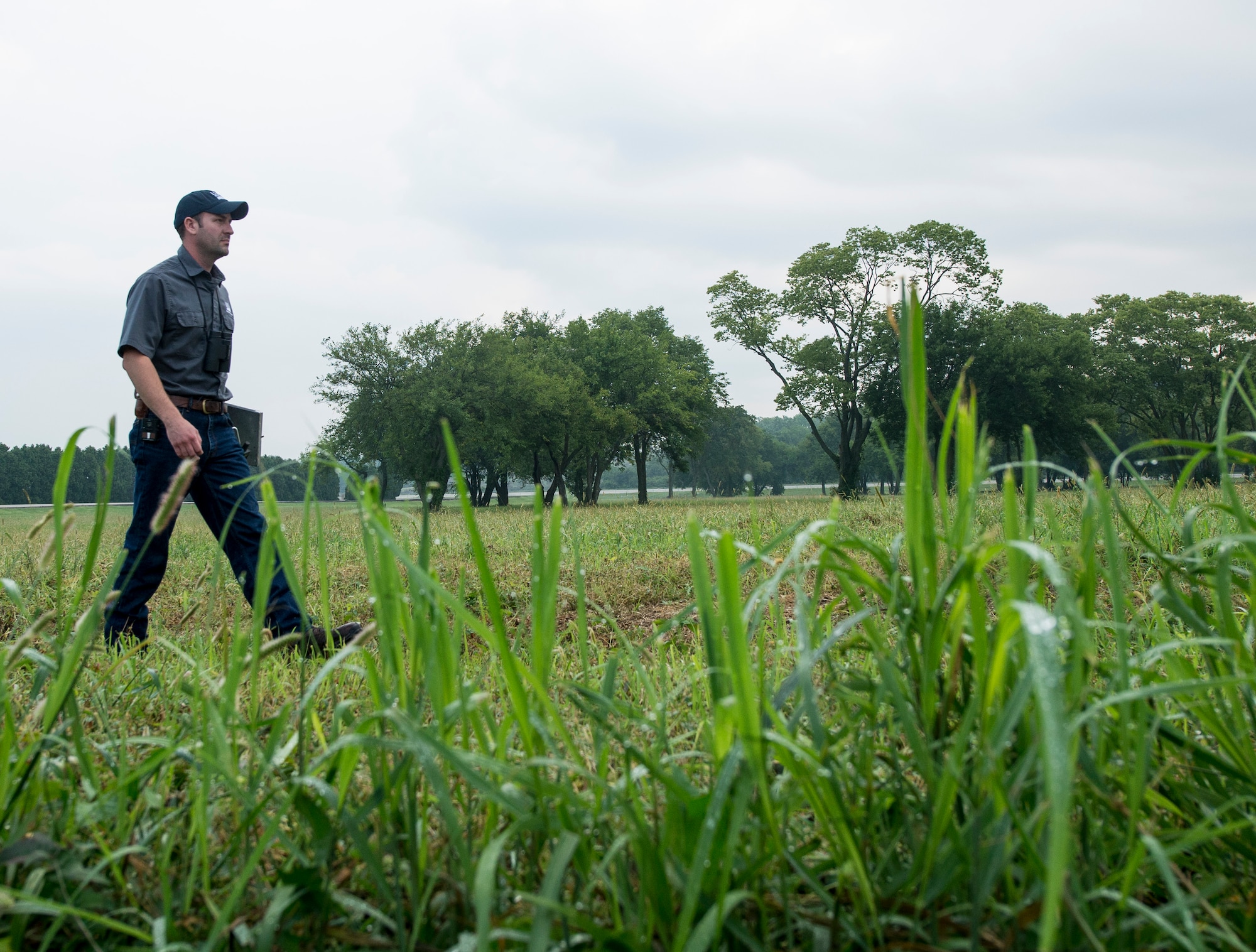 Jeff Pelc, a wildlife biologist and district supervisor with the United States Department of Agriculture wildlife program, conducts a Flush Transact Survey of the fields around Wright-Patterson AFB. (U.S. Air Force photo/Wesley Farnsworth)
