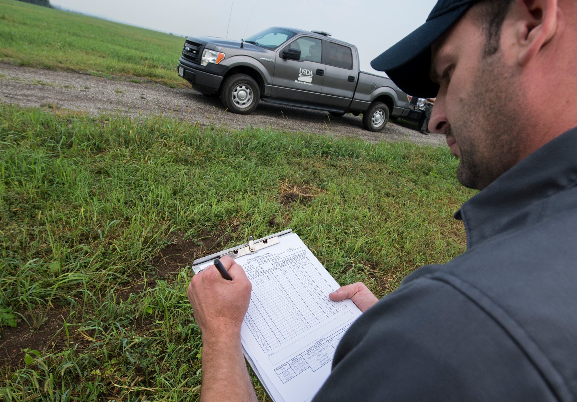 Jeff Pelc, a wildlife biologist and district supervisor with the United States Department of Agriculture wildlife program, records bird data while conducting a Flush Transact Survey of the fields around Wright-Patterson Air Force Base, Ohio, Sept. 2, 2015. The survey involves walking a zigzag pattern through the field to flush any hiding birds out so that they can be recorded. (U.S. Air Force photo/Wesley Farnsworth)
