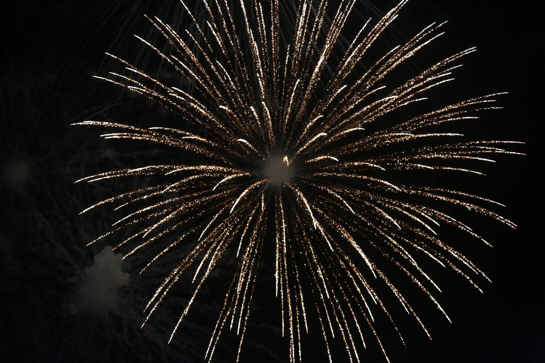 Fireworks explode, lighting up the sky over the flight line as part of the Twilight Show during the 2015 MCAS Miramar Air Show aboard Marine Corps Air Show Miramar, Calif., Oct. 3. The Twilight show is only performed one night during the three-day air show. (U.S. Marine Corps photo by Lance Cpl. Kimberlyn Adams/Released)