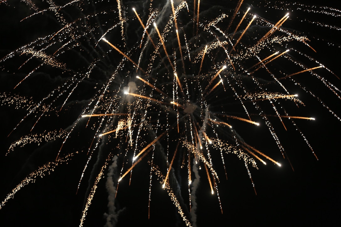Fireworks explode, lighting up the sky over the flight line as part of the Twilight Show during the 2015 MCAS Miramar Air Show aboard Marine Corps Air Show Miramar, Calif., Oct. 3. The Twilight show is only performed one night during the three-day air show. (U.S. Marine Corps photo by Lance Cpl. Kimberlyn Adams/Released)
