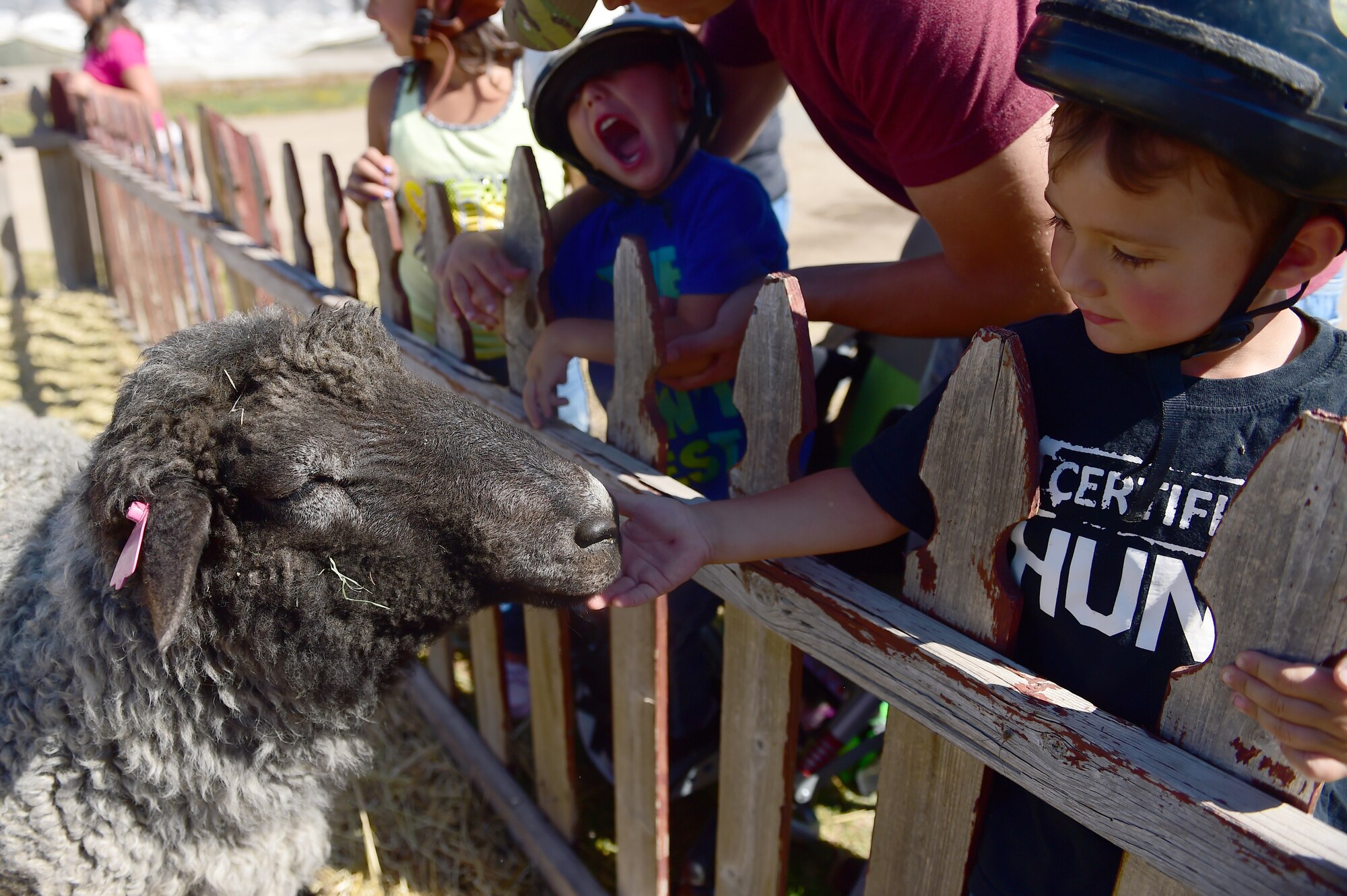 A child from Buckley Air Force Base pets a sheep Sept. 26, 2015, at Urban Farm in Stapleton, Colo.  Urban Farm hosted Buckley families, providing them with a tour of the farm as well as an opportunity to interact with the animals. (U.S. Air Force photo by Airman 1st Class Luke W. Nowakowski/Released)