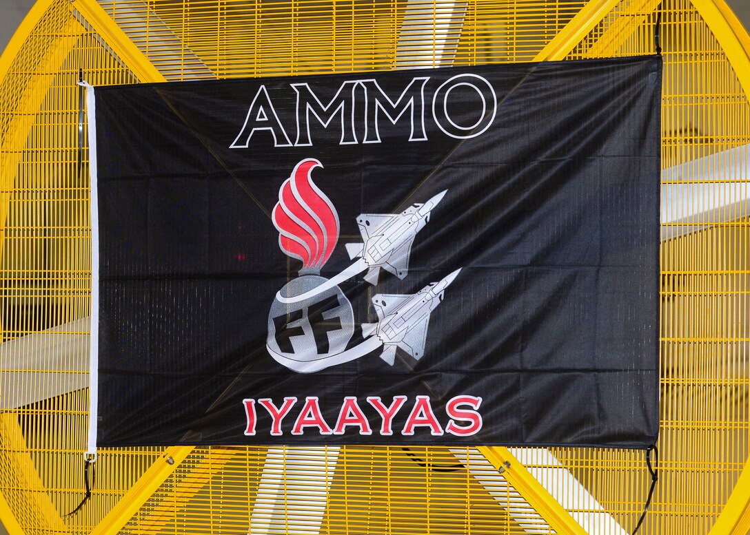 Approximately 200 U.S. Air Force and Air National Guard Airmen of the 1st and 192nd Fighter Wing returned home from a six-month deployment to the Middle East at Langley Air Force Base, Va., Oct. 5, 2015. Approximately 200 U.S. Service members provided support and stability to various regions. (U.S. Air Force photo by Airman 1st Class Derek Seifert/ Released) 