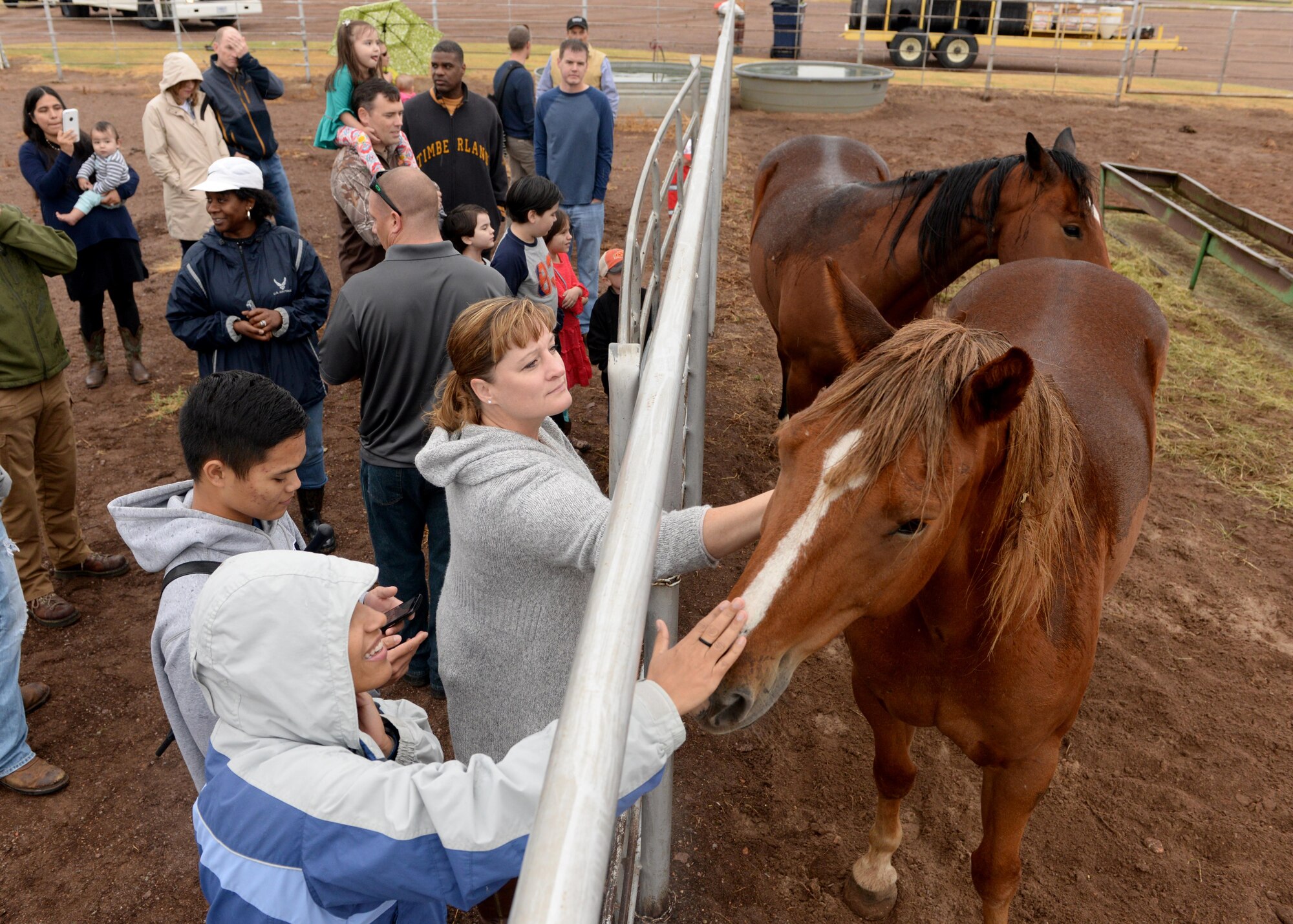 ALTUS AIR FORCE BASE, Okla. –Airmen and their families from the 97th Air Mobility Wing, pet horses at Abernathy Farms during a Farm City tour, October 5, 2015. Farm City is a week-long annual event that highlights the importance of agriculture in the City of Altus community by educating Airmen about farming techniques and processes that the farming economy goes through. (U.S. Air Force photo by Airman 1st Class Nathan Clark/Released)
