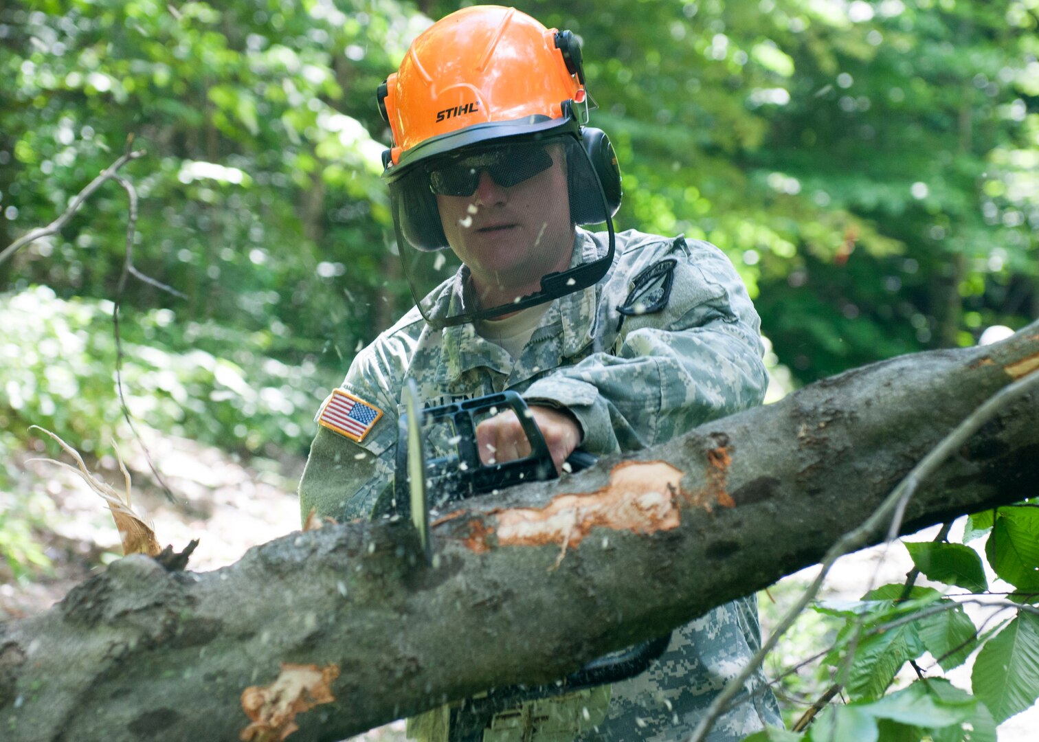 Sgt. Jason Allen, chainsaw operator and bandsman, 40th Army Band, cuts through trees that block a road during quick reaction force training at Camp Ethan Allen Training Site, July 31, 2015, Jericho, Vermont. Allen is wearing protective gear including ear protection.
